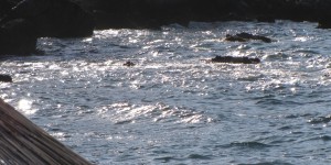 Beitragsbild des Blogbeitrags Griechisches Ambiente in Sfinari