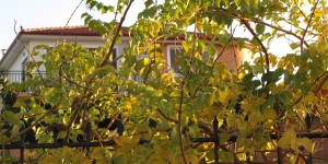 Beitragsbild des Blogbeitrags Die Sonne scheint wieder in Chorafakia