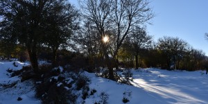 Beitragsbild des Blogbeitrags ein sonniger Wintertag in den Bergen