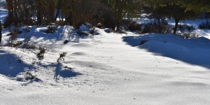 Beitragsbild des Blogbeitrags Schnee in Anogia auf Kreta 