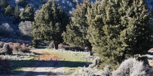 Beitragsbild des Blogbeitrags Askifou -Tavri -Kreta im Winter