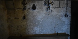 Beitragsbild des Blogbeitrags die sehenswerte Festung in Salzburg