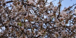 Beitragsbild des Blogbeitrags Es gibt ein Erwachen in Rethimnon