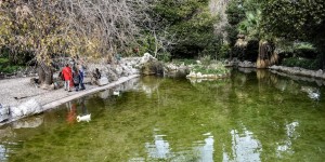 Beitragsbild des Blogbeitrags Der Nationalgarten in Athen