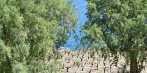 Beitragsbild des Blogbeitrags Kolimbari auf Kreta