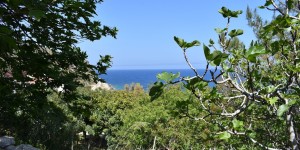 Beitragsbild des Blogbeitrags das Kloster Gonia in Kolimbari
