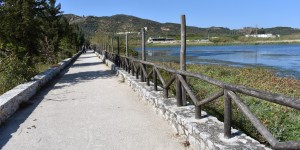 Beitragsbild des Blogbeitrags So frisch,so grün am See Agia