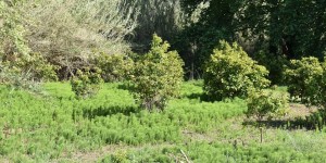 Beitragsbild des Blogbeitrags ein belebender Spaziergang in Agia