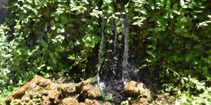 Beitragsbild des Blogbeitrags Die Patsos- oder Sankt Antonius Schlucht