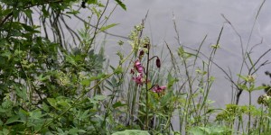 Beitragsbild des Blogbeitrags der traumhafte Erlaufsee in der Steiermark 