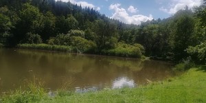 Beitragsbild des Blogbeitrags das grüne Thal bei Graz