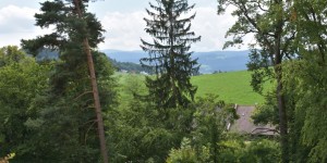 Beitragsbild des Blogbeitrags Piber in der grünen Steiermark