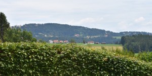 Beitragsbild des Blogbeitrags Das Wunderland Piber