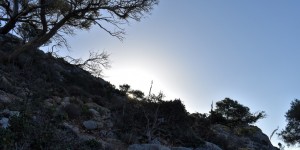 Beitragsbild des Blogbeitrags Sonnenaufgang in den Bergen 