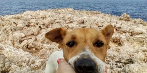 Beitragsbild des Blogbeitrags So eine Wanderung tut einfach gut