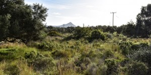 Beitragsbild des Blogbeitrags Ein Spaziergang in Chorafakia