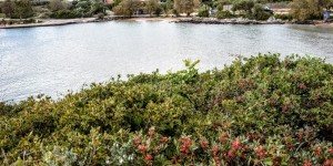 Beitragsbild des Blogbeitrags Die Natur im Herbst
