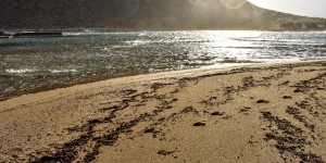 Beitragsbild des Blogbeitrags Wenn die Sonne rauskommt 