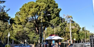 Beitragsbild des Blogbeitrags Winterimpressionen aus Rethymnon