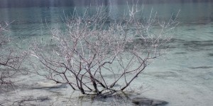 Beitragsbild des Blogbeitrags Was für eine schöne Farbe der See hat