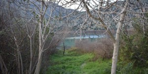 Beitragsbild des Blogbeitrags der türkise See Kournas
