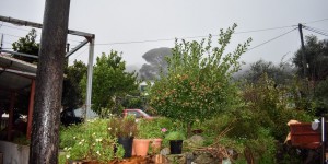Beitragsbild des Blogbeitrags Das idyllische Dorf Palaia Roumata