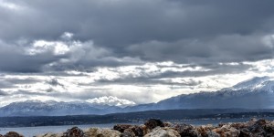 Beitragsbild des Blogbeitrags Die schöne Möwe