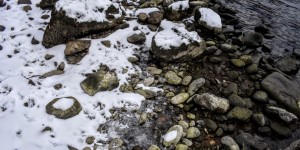 Beitragsbild des Blogbeitrags Enten im kalten Wasser