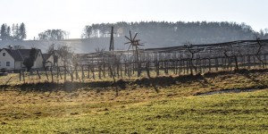 Beitragsbild des Blogbeitrags Die gute Landluft