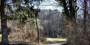 Beitragsbild des Blogbeitrags Mariagrün in Graz