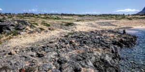 Beitragsbild des Blogbeitrags Blue Beach auf Arotiri