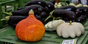 Beitragsbild des Blogbeitrags Zum Bauernmarkt in Andritz Graz gehend
