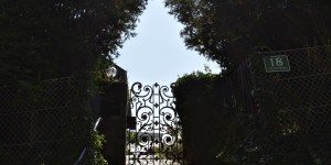 Beitragsbild des Blogbeitrags ein Spaziergang in der grünen Steiermark 