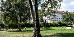 Beitragsbild des Blogbeitrags In der Landeshauptstadt Graz