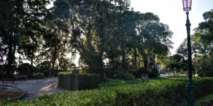 Beitragsbild des Blogbeitrags magische Momente in Venedig