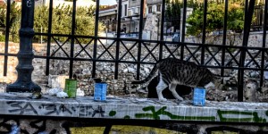 Beitragsbild des Blogbeitrags Athen von oben aus gesehen 