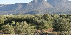 Beitragsbild des Blogbeitrags das besondere Akrotiri