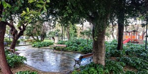 Beitragsbild des Blogbeitrags Im Park Friede und Freundschaft in Chania zu Weihnachten