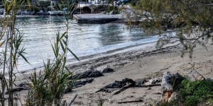 Beitragsbild des Blogbeitrags Tersanas ein schönes Platzerl 