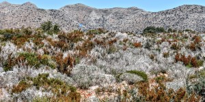 Beitragsbild des Blogbeitrags strahlende Farben auf Kreta