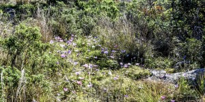 Beitragsbild des Blogbeitrags ein schöner Februartag auf Akrotiri