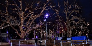 Beitragsbild des Blogbeitrags Der Stephansdom in Wien 