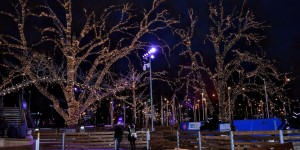 Beitragsbild des Blogbeitrags Der Stephansdom in Wien im Februar
