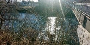 Beitragsbild des Blogbeitrags Blüten in Graz im Februar