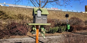Beitragsbild des Blogbeitrags Blumenpracht in Graz im Februar