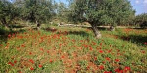 Beitragsbild des Blogbeitrags Frohe Ostern von Kreta aus gesendet 