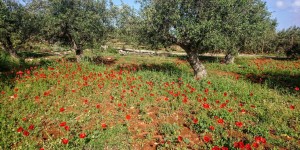 Beitragsbild des Blogbeitrags Frohe Ostern von Kreta aus gesendet