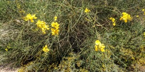 Beitragsbild des Blogbeitrags Frühlingsgrüsse aus Kreta 