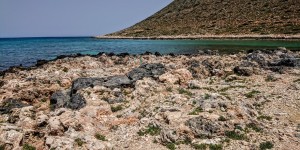 Beitragsbild des Blogbeitrags Spaziergang am Strand