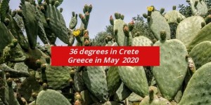Beitragsbild des Blogbeitrags Hochsommer im Mai auf Kreta 